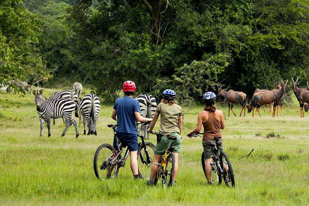 cycling-in-lake-mburo-national-park